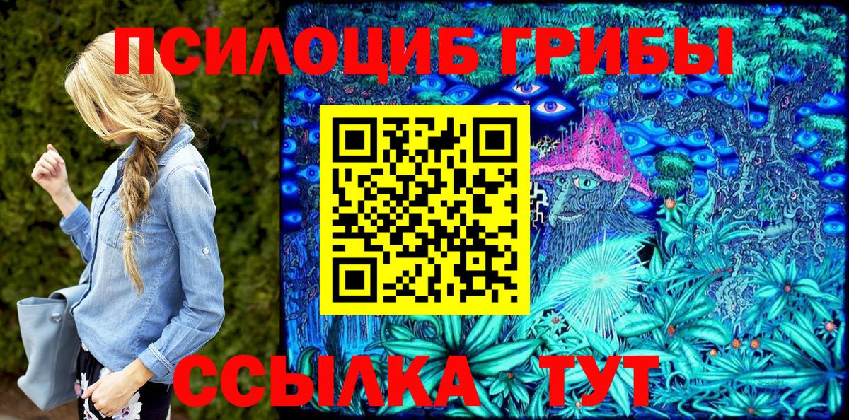 Псилоцибиновые грибы мухоморы Волгоград